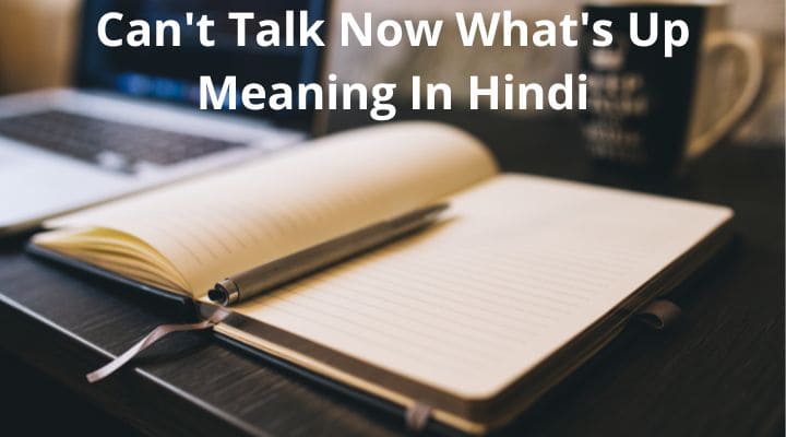 can-t-talk-now-what-s-up-meaning-in-hindi